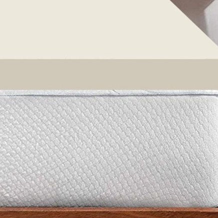 King Size 2 Inch Plush Orthopedic Support Foam Mattress Topper - Medium Firm